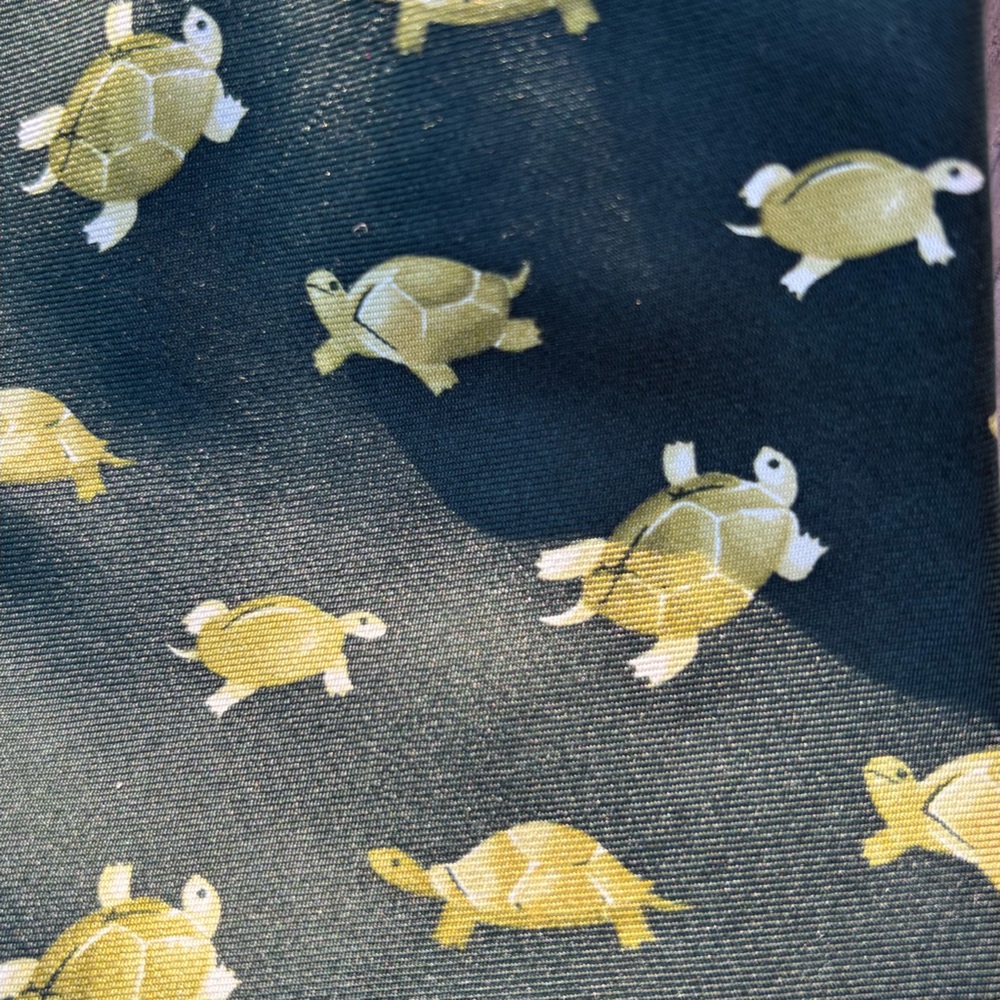 Banana Republic Turtle Silk Tie